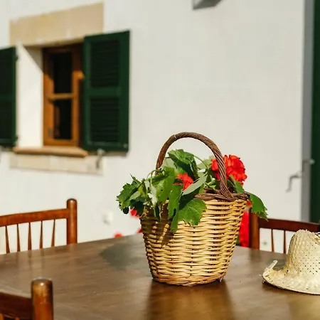 Casa Sa Vinyeta Holiday home