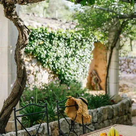 Casa Sa Vinyeta Valldemossa (Mallorca)